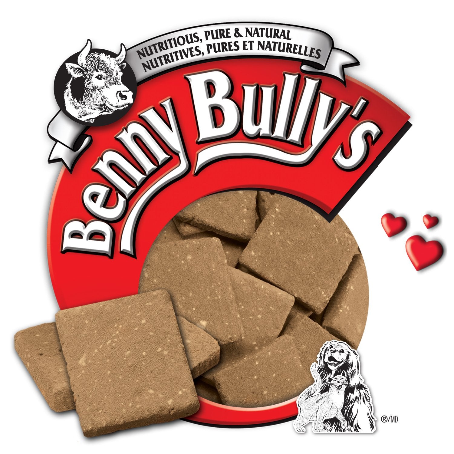 faq-frequently-asked-questions-bennybullys