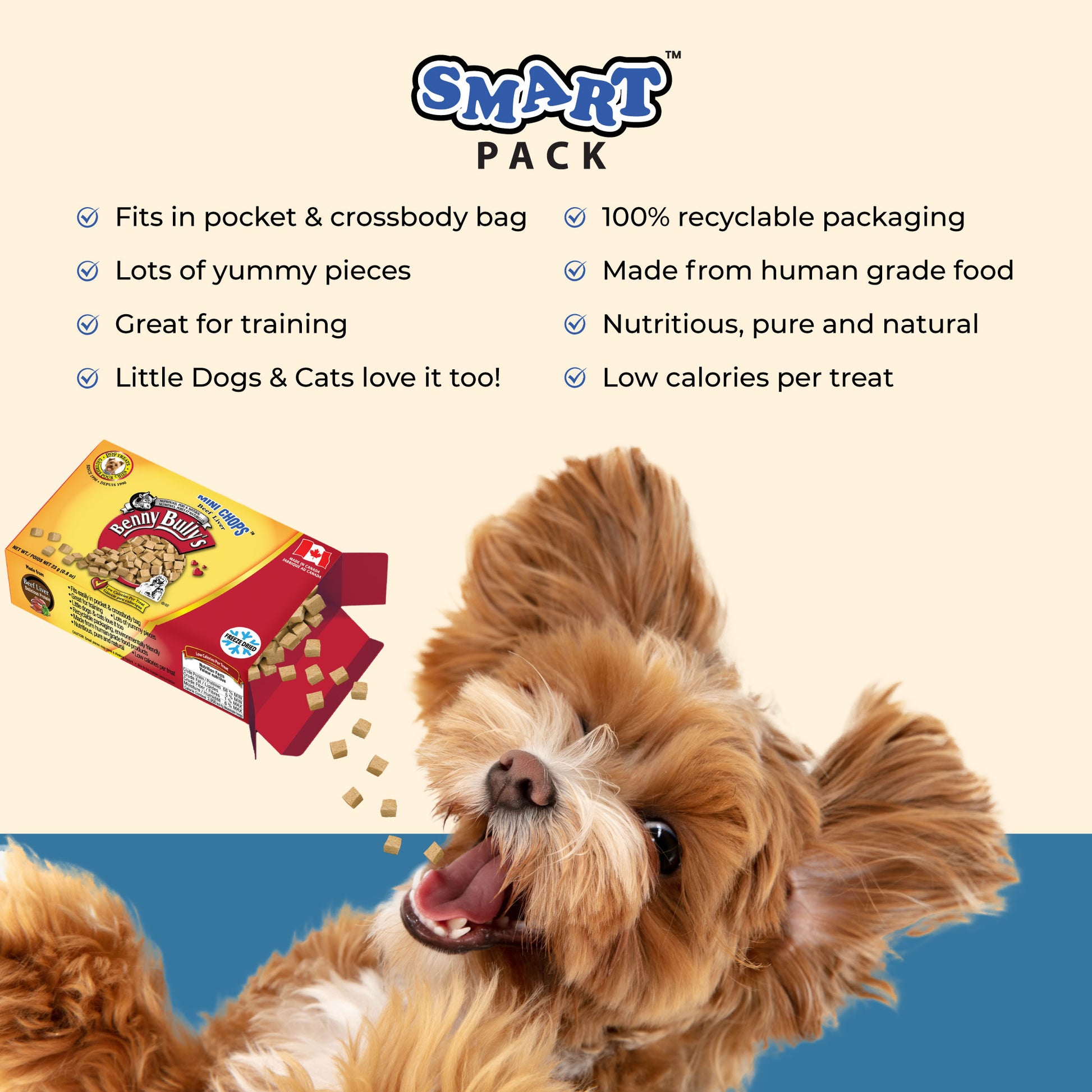happy dog eating small treats from a yellow and red box