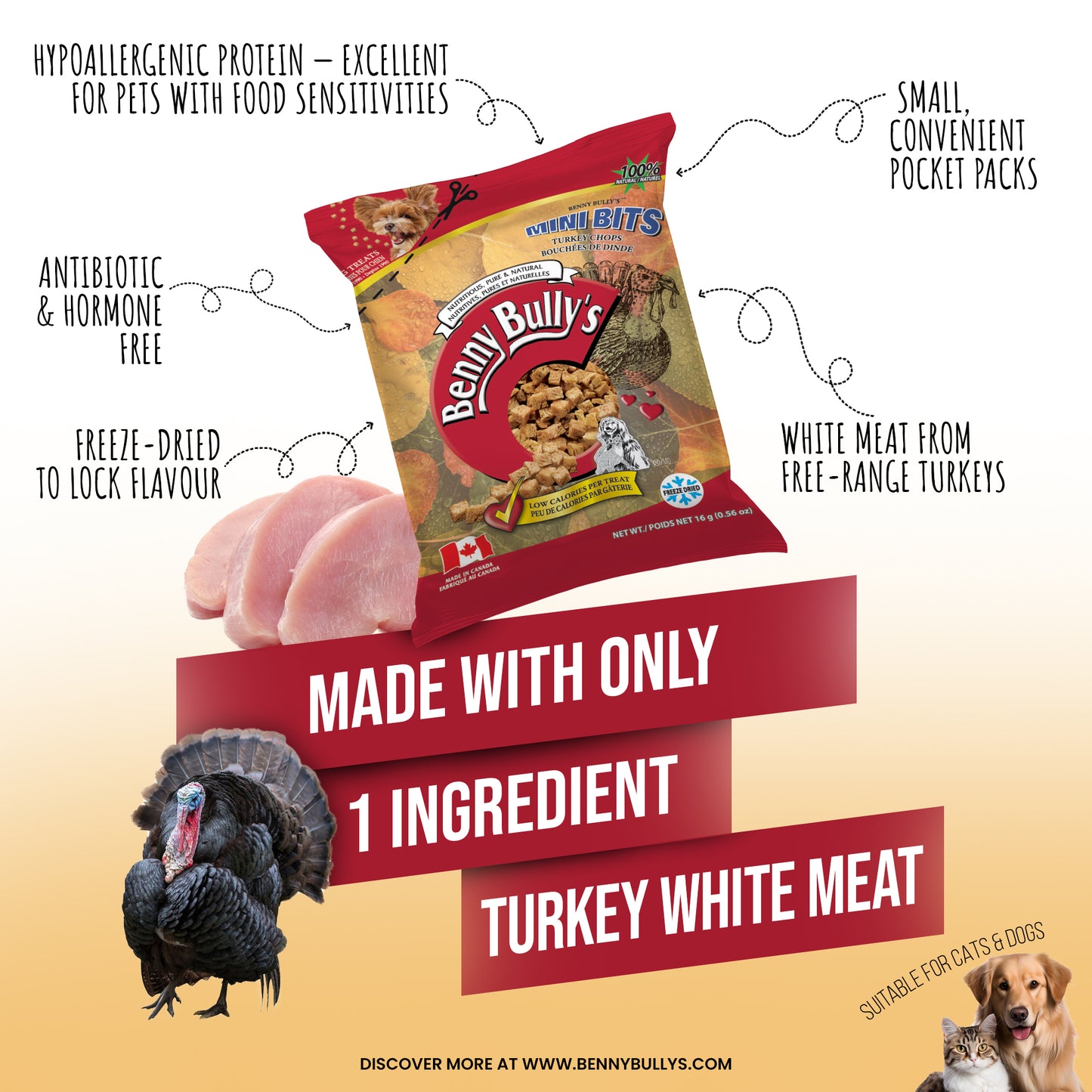 Mini Bits™ — Turkey — Pillow Pack