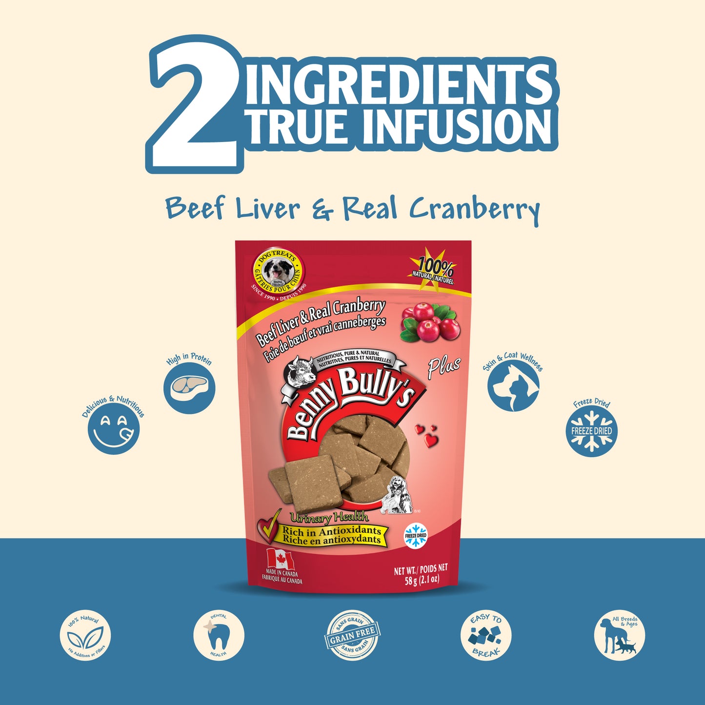 beef liver and real cranberry dog treats pouch on a blue beige background indicating dental health for dogs