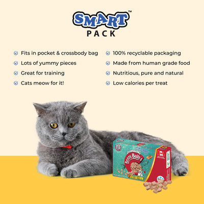 Benny Bullys® Mini Chops™ Saumon et extrait de romarin, paquet de 12 (chat) | Lyophilisé