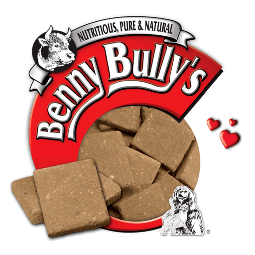 About Us BennyBullys