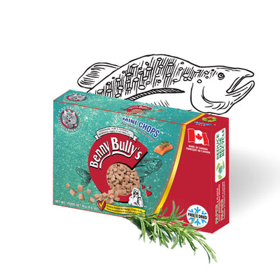 Benny Bullys® Mini Chops™ - Salmon Plus Rosemary Extract in Smart Pack™