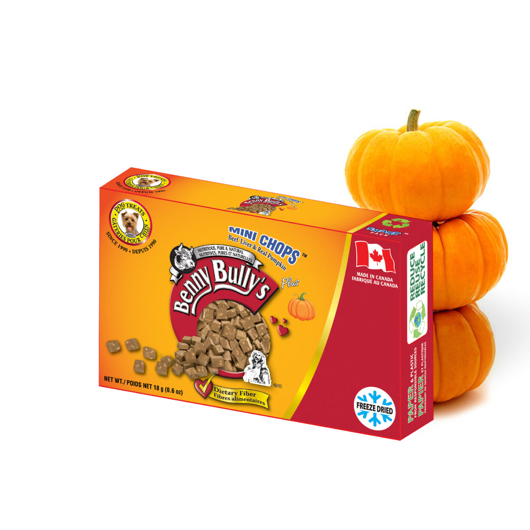 Benny Bullys® Mini Chops™ Liver Plus Pumpkin 12 Pack (Dog) | Freeze Dried