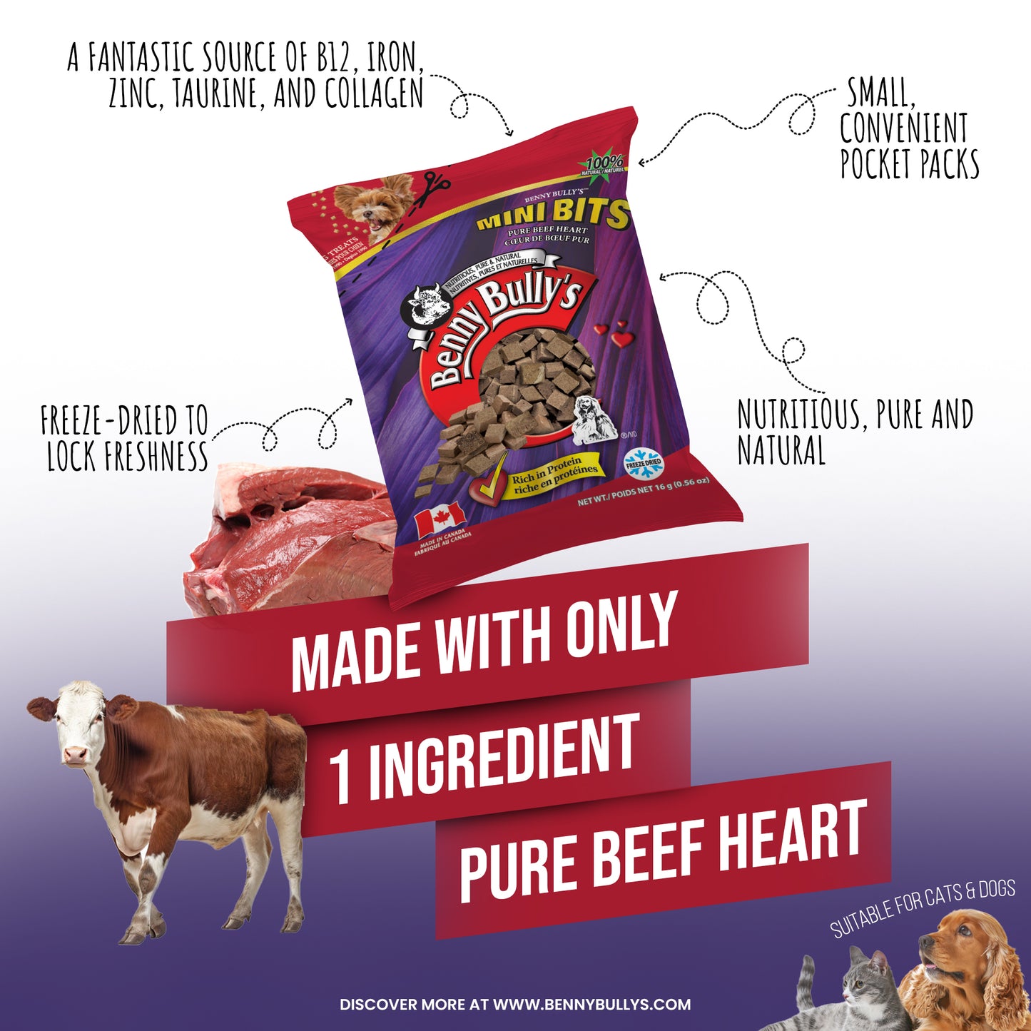 Mini Bits™ — Beef Heart — Pillow Pack