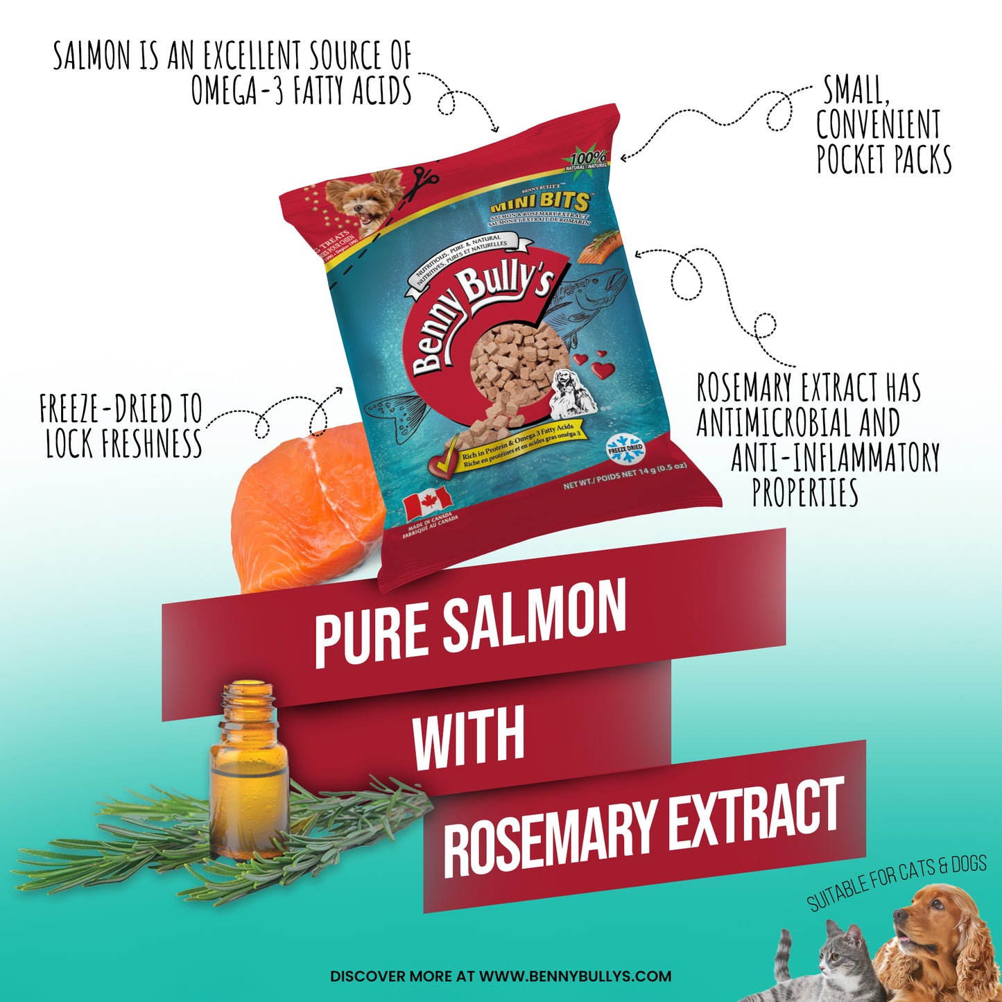 Mini Bits™ — Salmon & Rosemary Extract — Pillow Pack