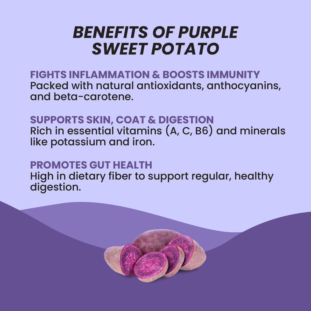 Benny Bully’s® Purple Power: The Antioxidant Bundle