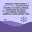 Benny Bully’s® Purple Power: The Antioxidant Bundle