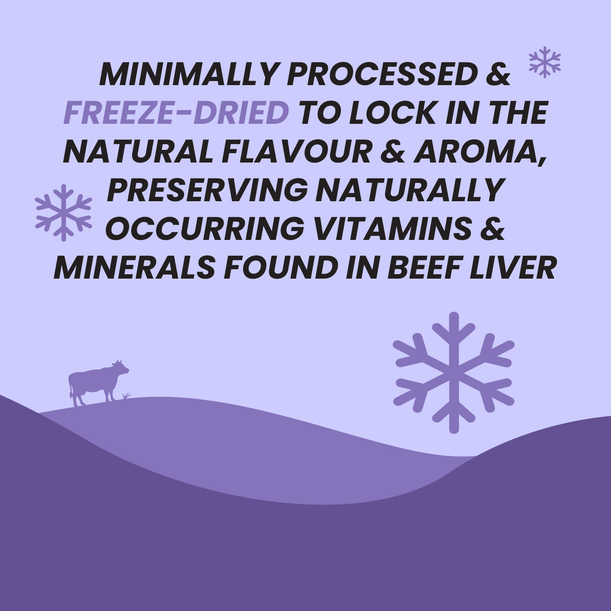 Benny Bully’s® Purple Power: The Antioxidant Bundle